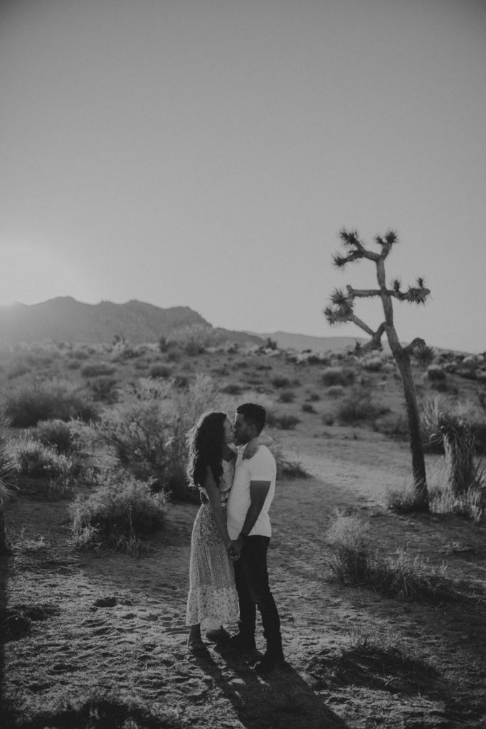 joshua tree engagement