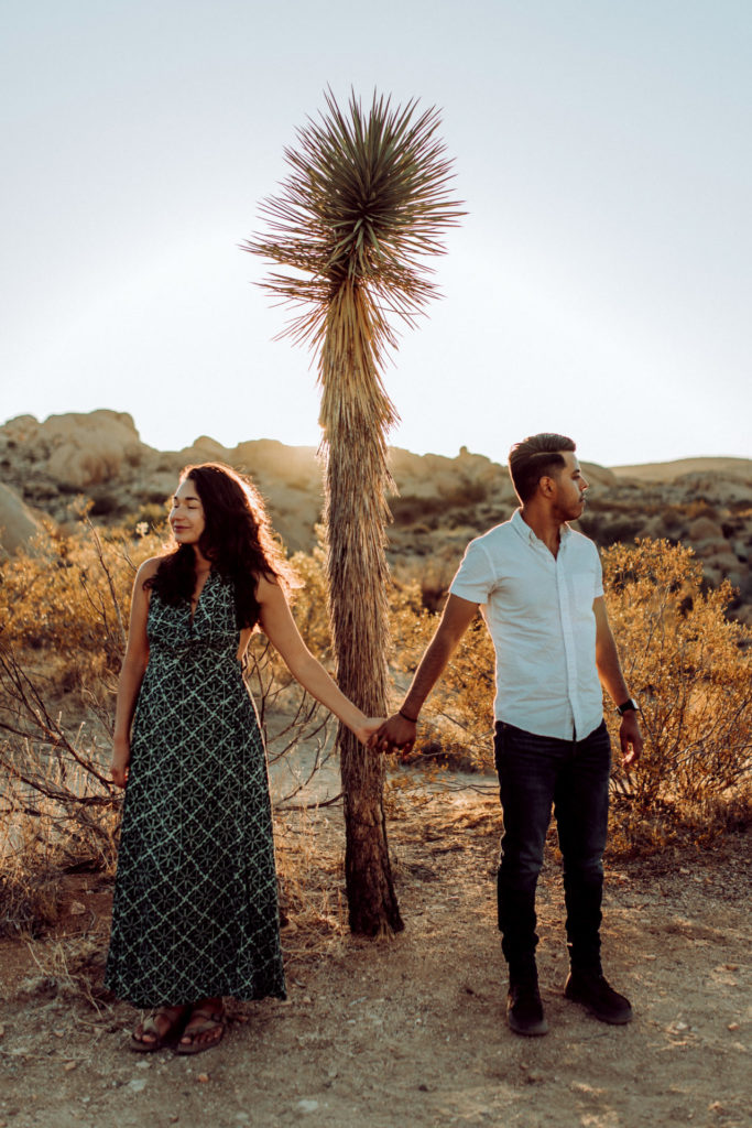 joshua tree engagement