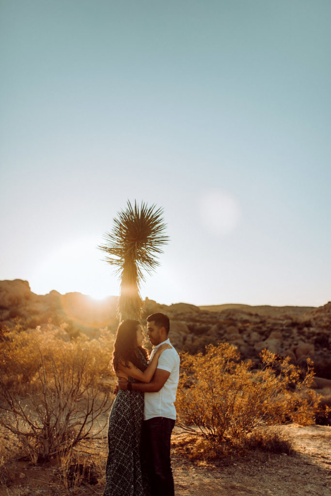 joshua tree engagement