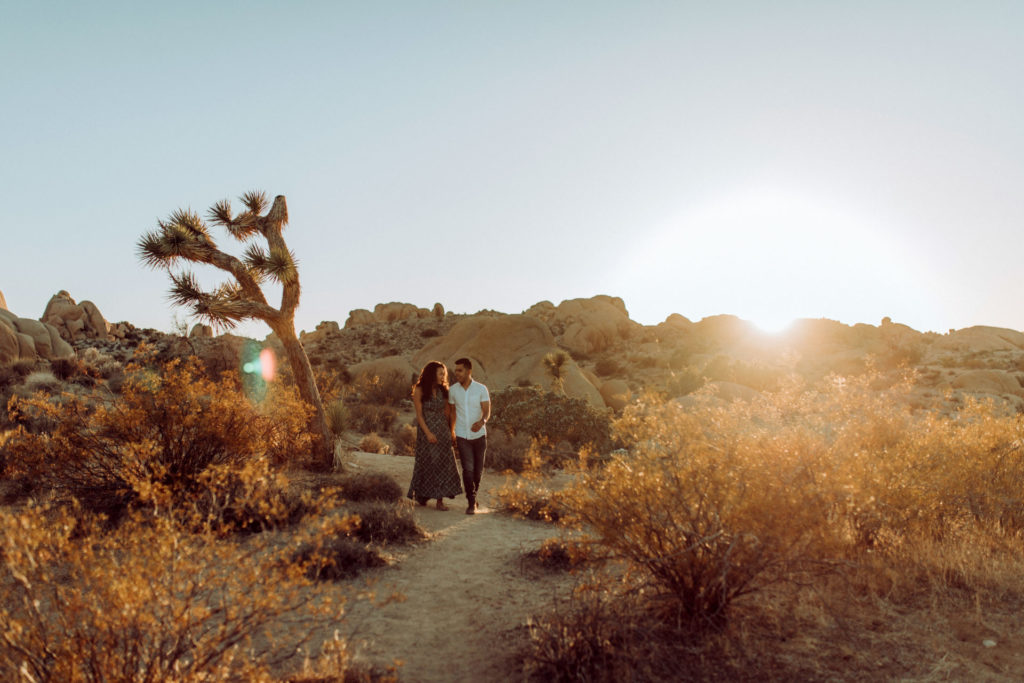 joshua tree engagement