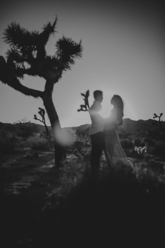 joshua tree engagement