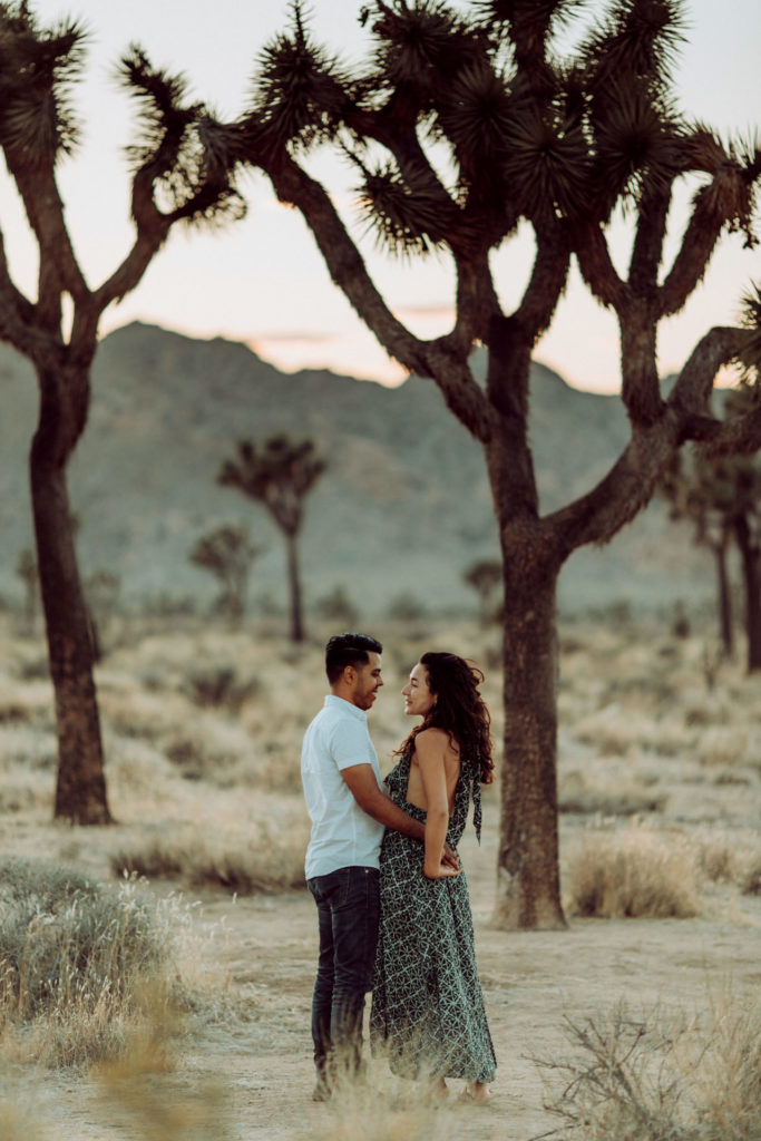 joshua tree wedding photographer