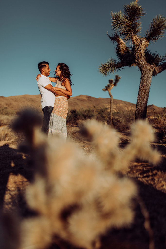 joshua tree engagement