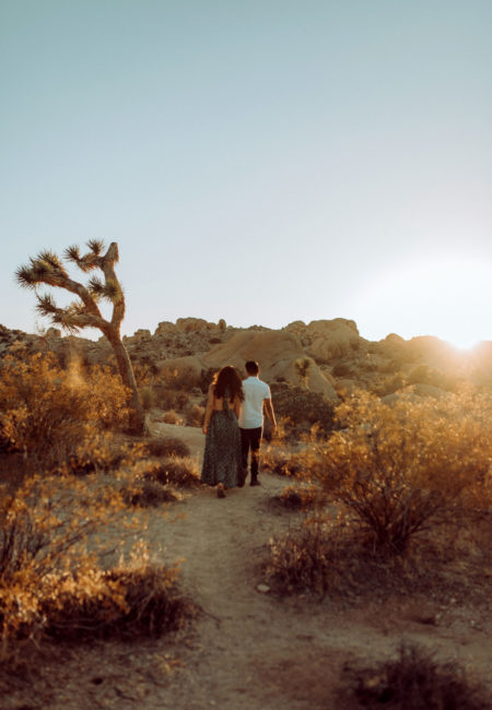 joshua tree engagement